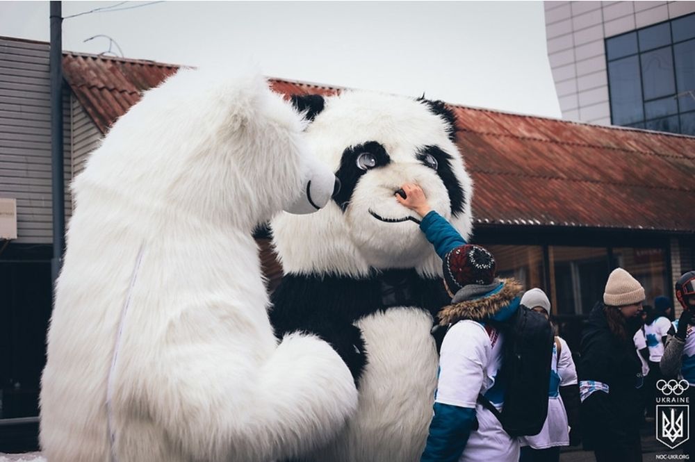 Панда, білий мішка, пес Патрон, зайка - кульки в подарунок!