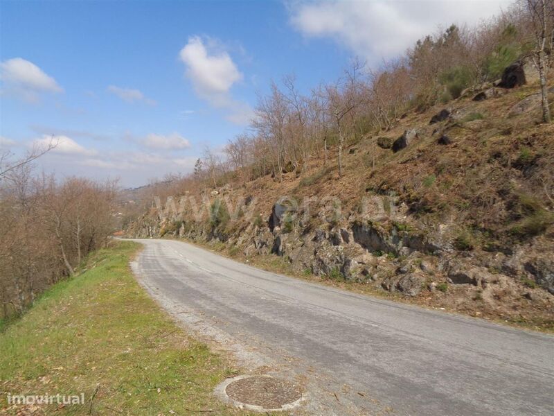 Terreno / Marco de Canaveses, Soalhães