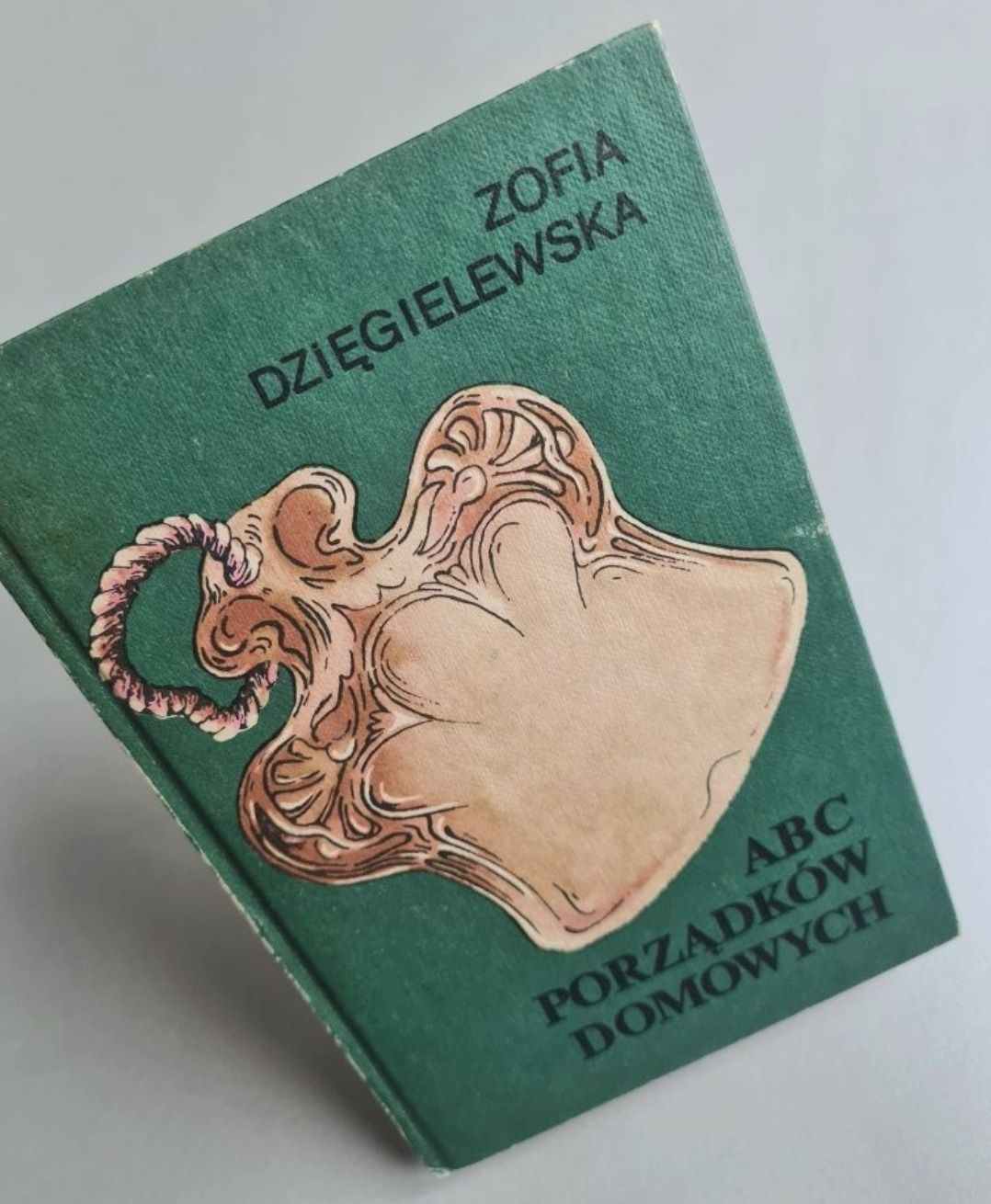 ABC porządków domowych - Zofia Dzięgielewska