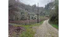 Quinta de Fornelos