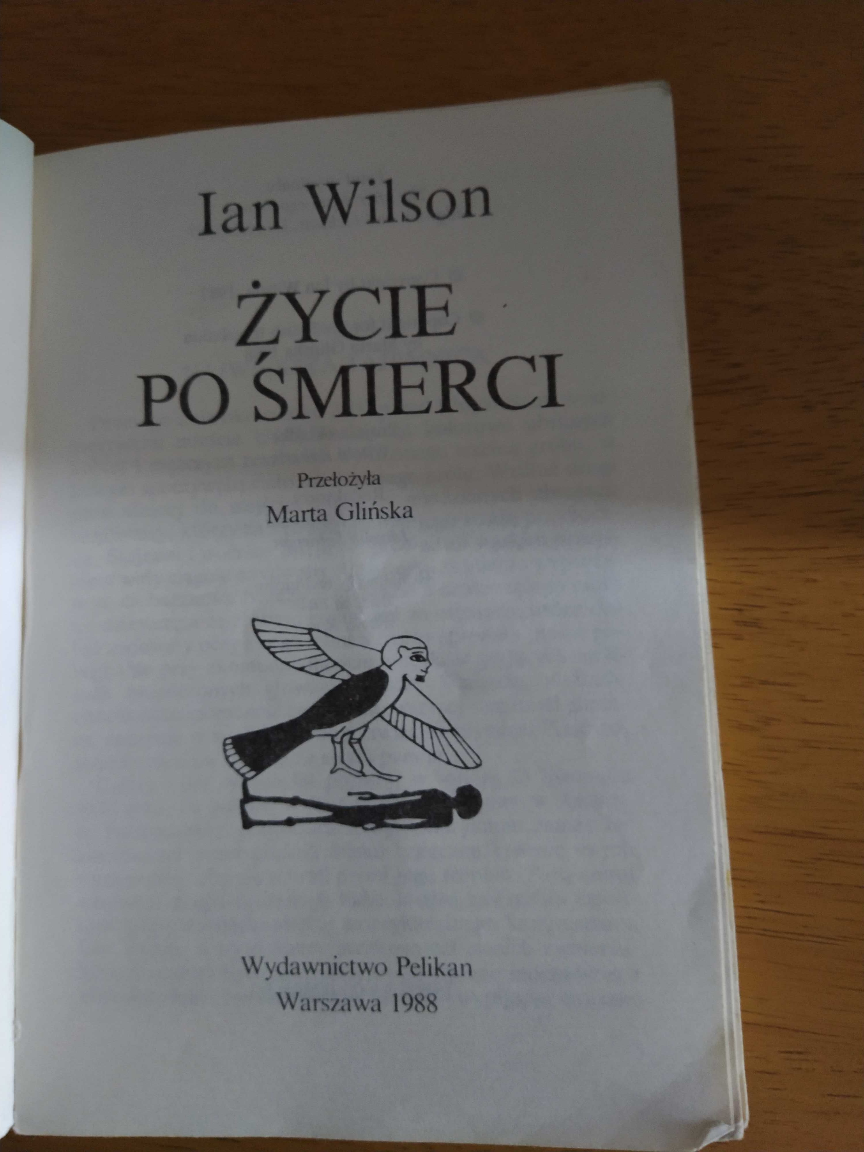 książka Życie po śmierci Ian Wilson