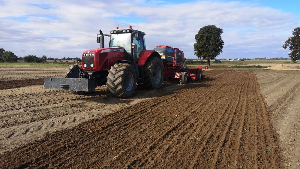 Siew zbóż  pasowy Strip-Till horsch FOCUS
