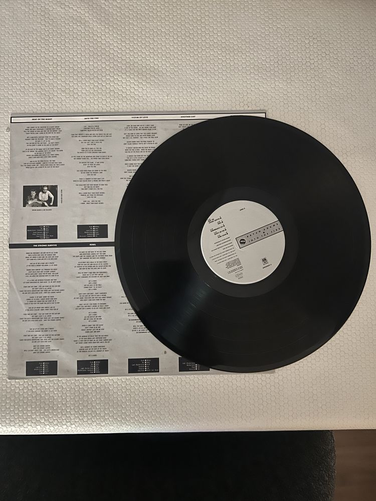 LP - Bryan Adams - Heat Of The Night