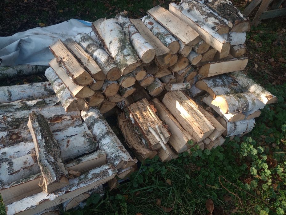 drzewo opałowe brzoza