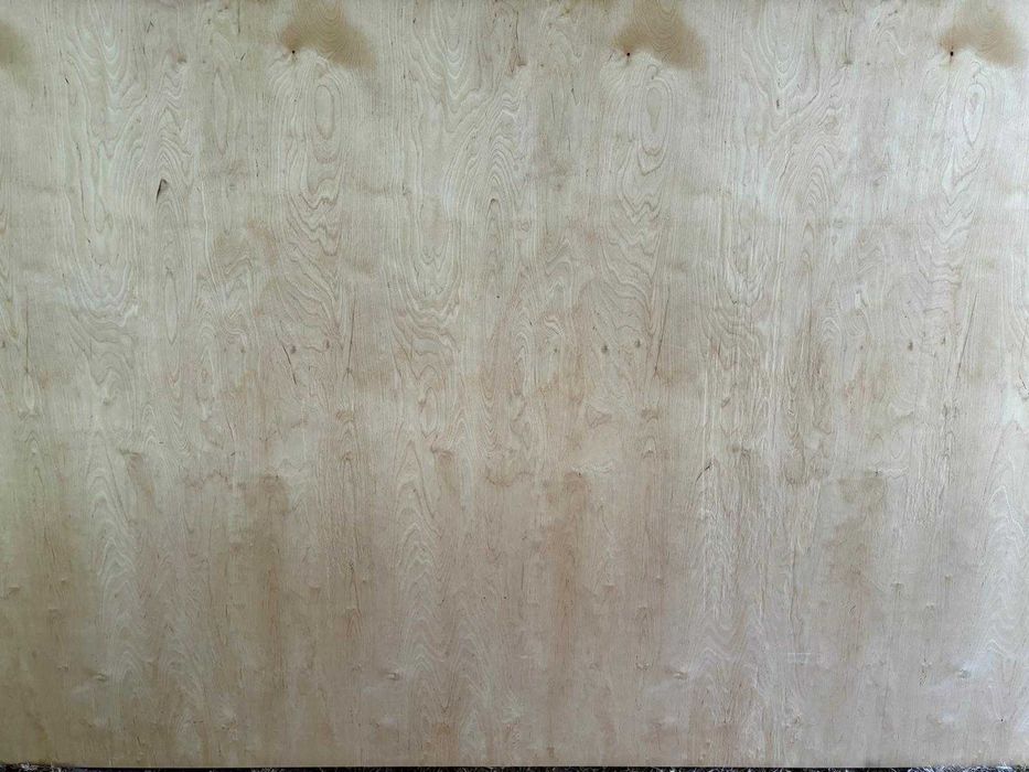 Sklejka brzozowa 15mm wodoodporna 1250x2500 6.5, 9, 12, 18, 21, 24, 27