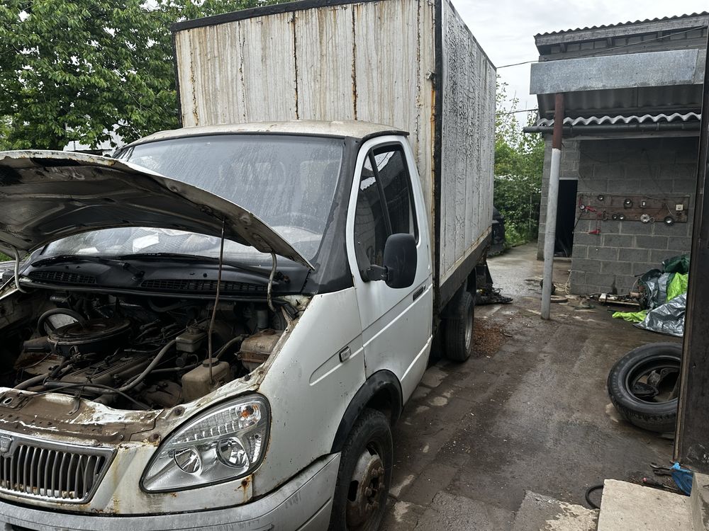 Дві газельки за ціною одніє