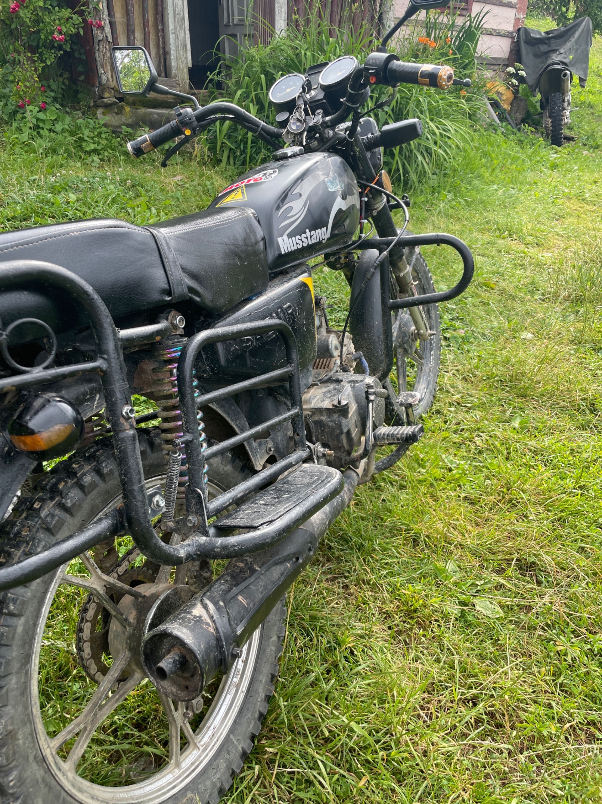 Musstang110 в хорошому стані 53421 пробіг