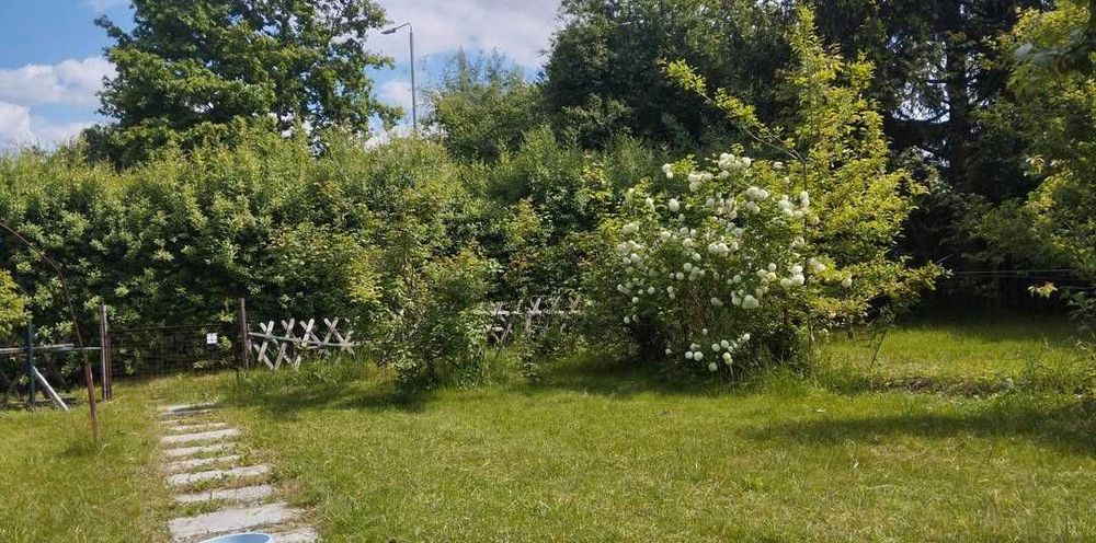 Dzierżawa działki ROD X-Muzy Wrocław Borowska Grota-Roweckiego