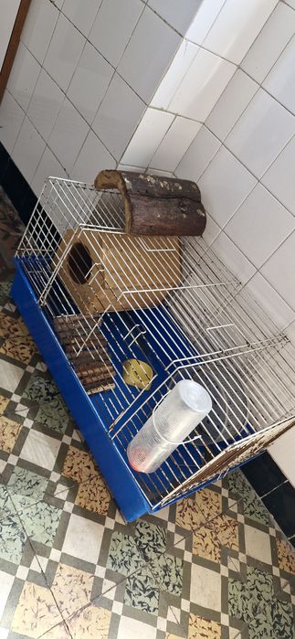 Gaiola de Roedor Completa