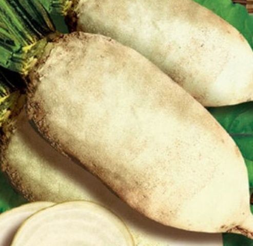 Продам кормовий буряк