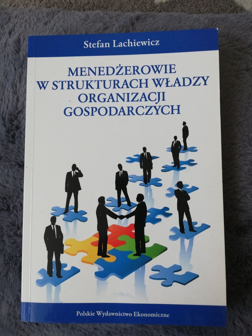 Menedżerowie w strukturach władzy, Stefan Lachiewicz