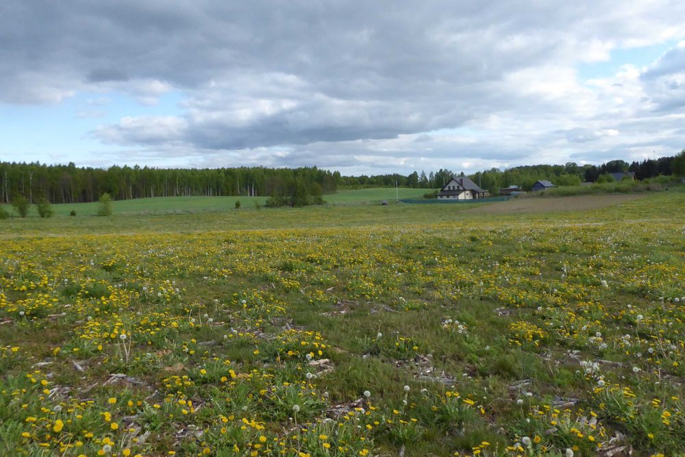 Idzbark -działka z warunkami zabudowy  ul. Kamratów