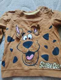 Bluza Scooby-Doo 86