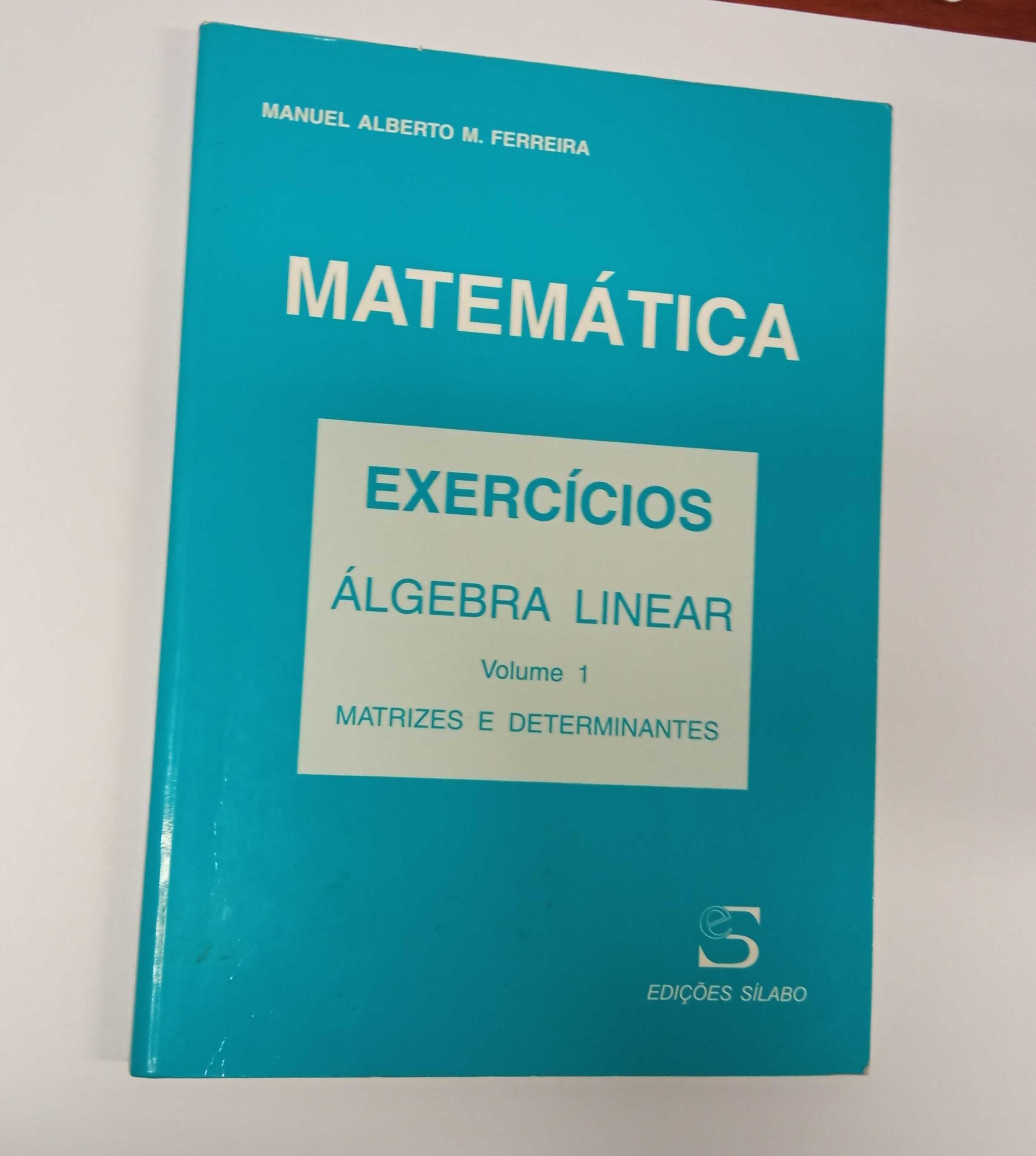 Álgebra Linear - exercícios, de Manuel Alberto Ferreira