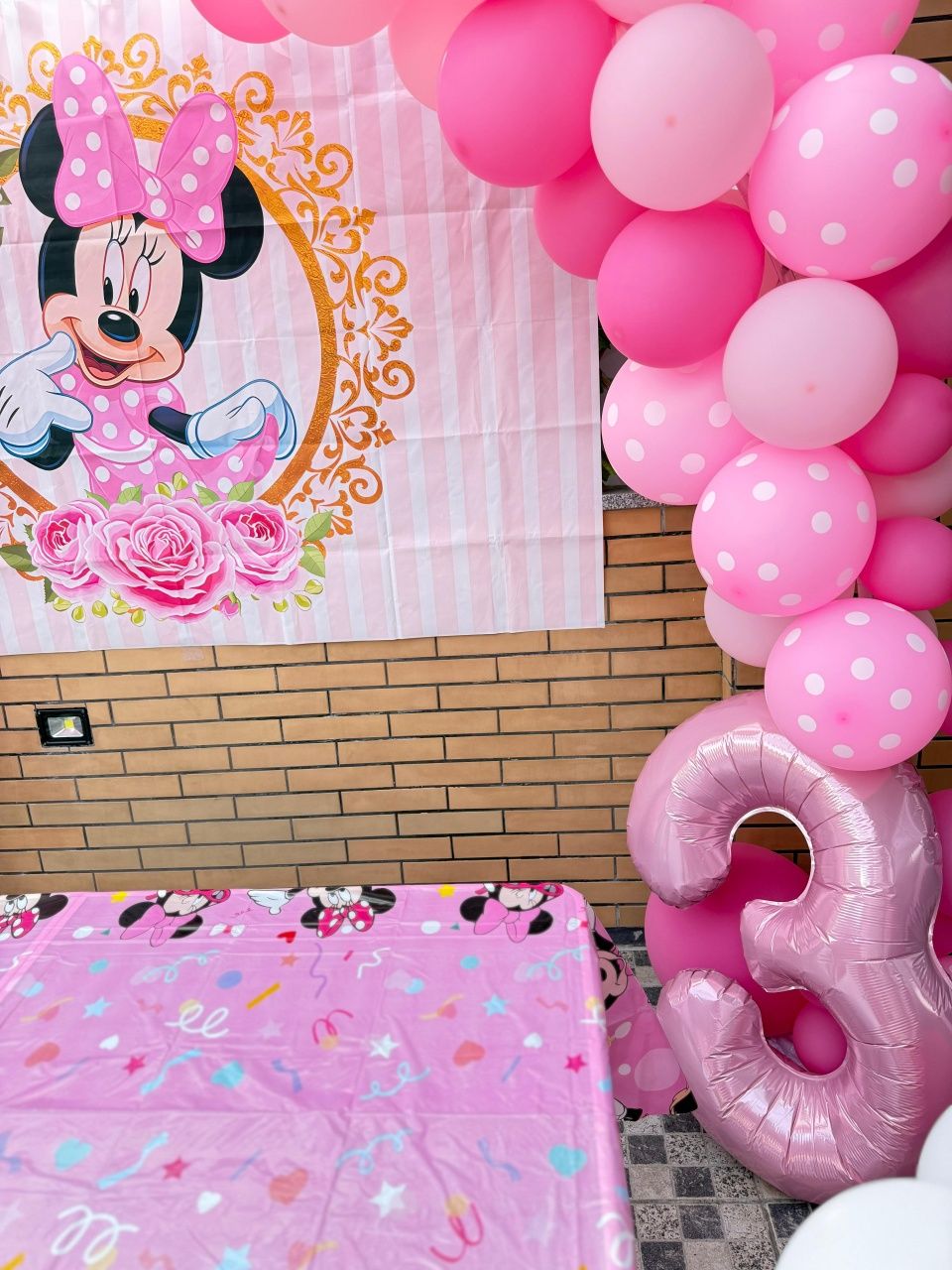 Tela, lona da minnie festa