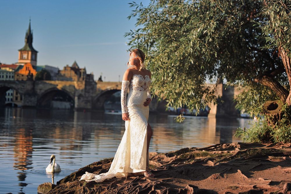 Suknia ślubna CRISTAL Agnieszka Światły