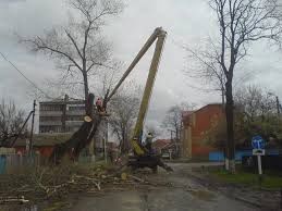 Спилим дерево с автовышкой