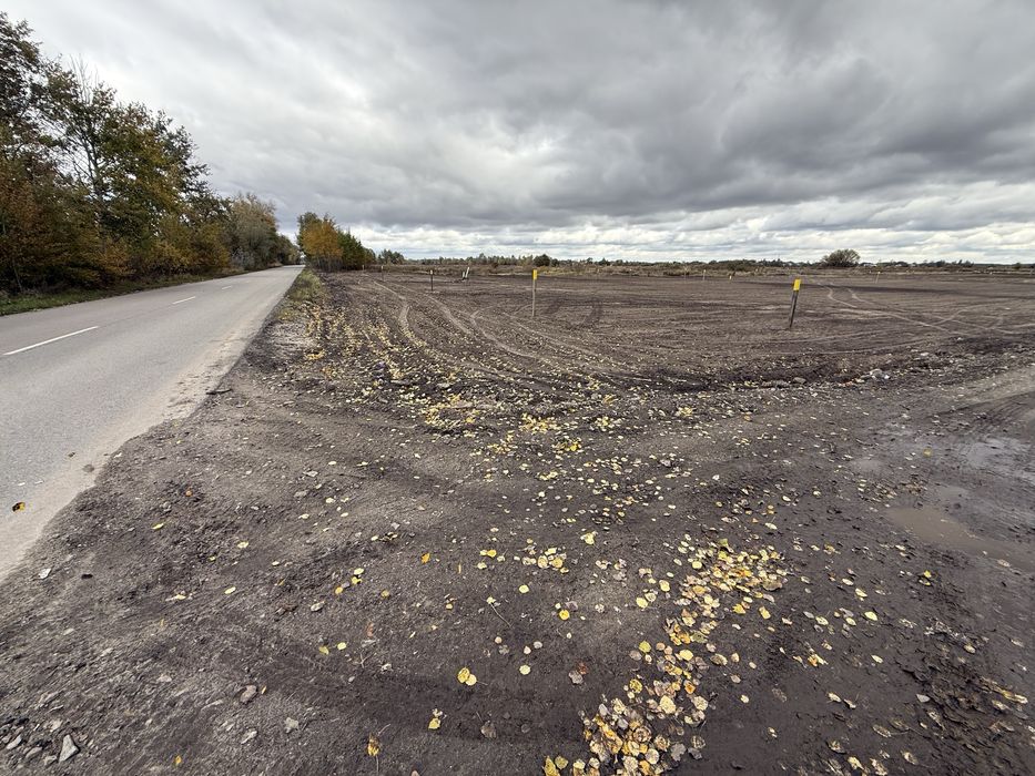 Зазимя, продаж 8сот. біля річки Десна,асфальт,комунікаціі