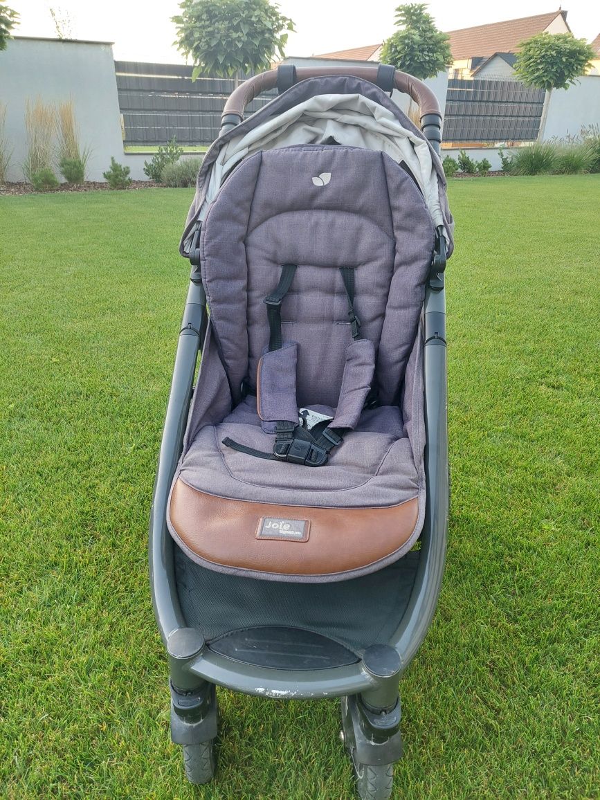 Joie mytrax signature