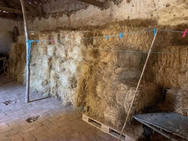 fardos de palha para venda