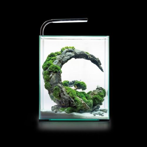 Aquael Shrimp Set 30L