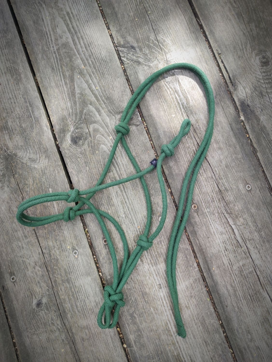 Halter dla konia Cob Zielony