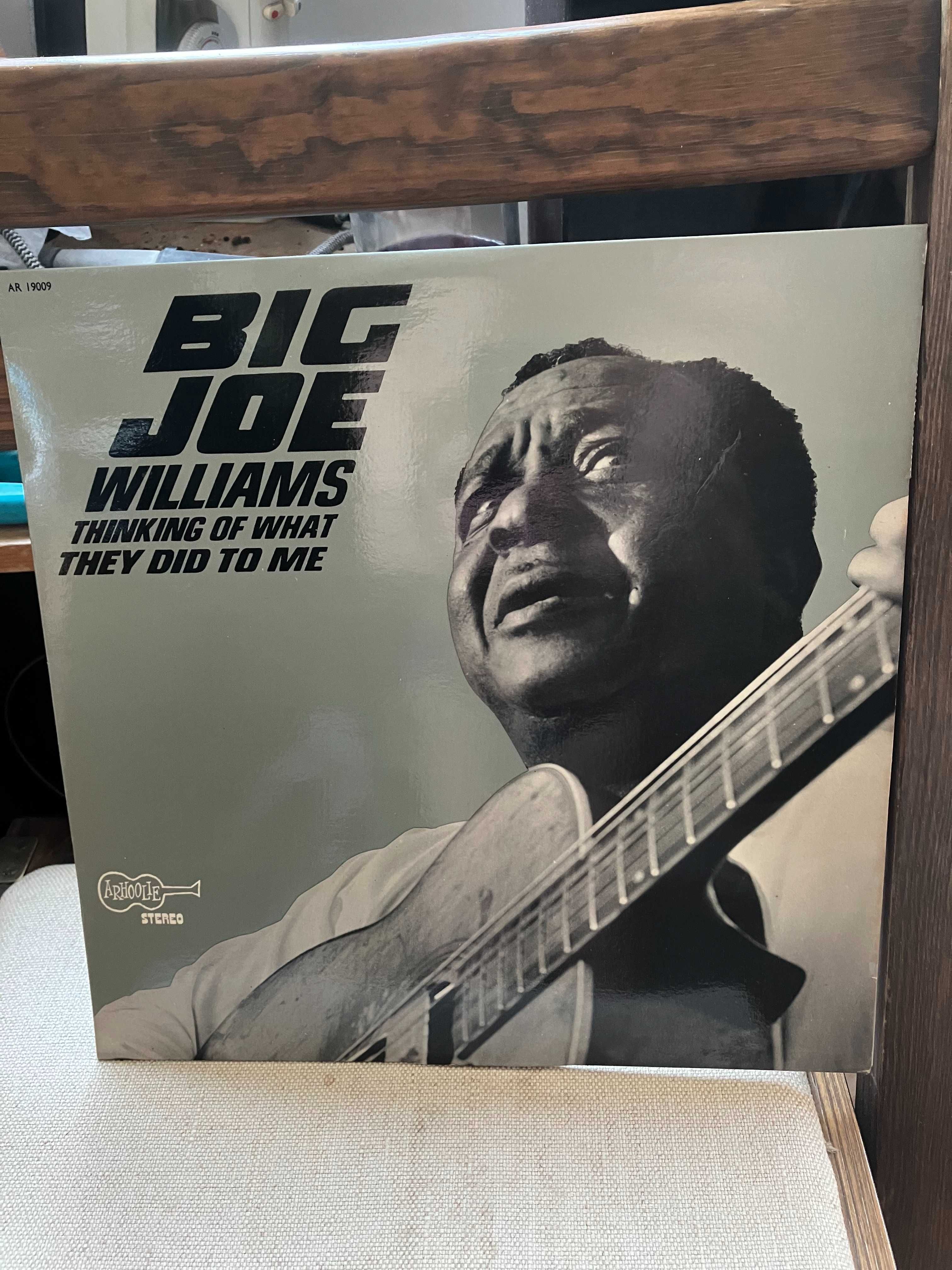 winyl Big Joe Williams " Thinking of what They did to me " 1969 r mint