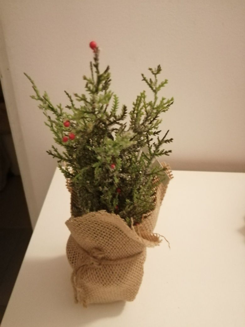 Nowe drzewko świąteczne