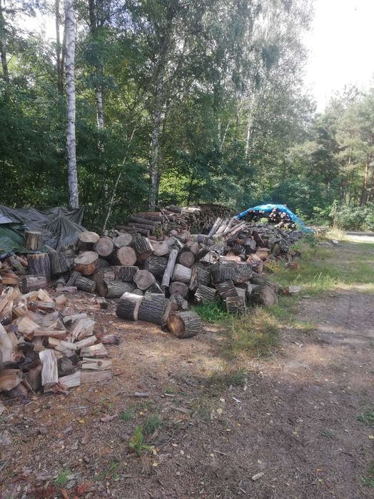 Drzewo drewno opałowe sosna 250zł kominkowe dąb akacja  brzoza