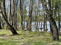 Продам земельну ділянку на березі озера