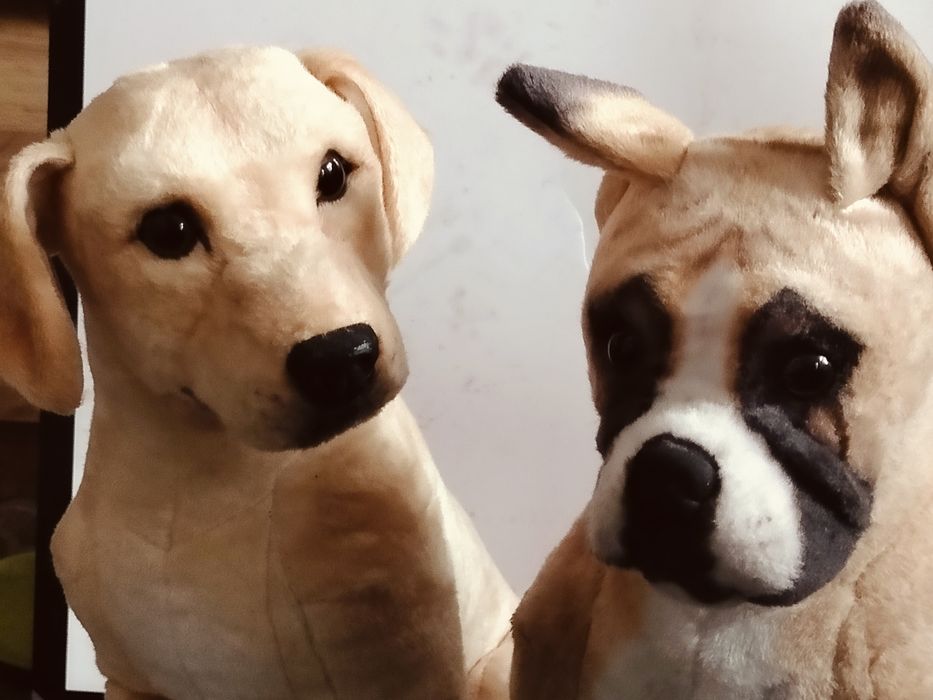 Pluszowe pieski bardzo realistyczne