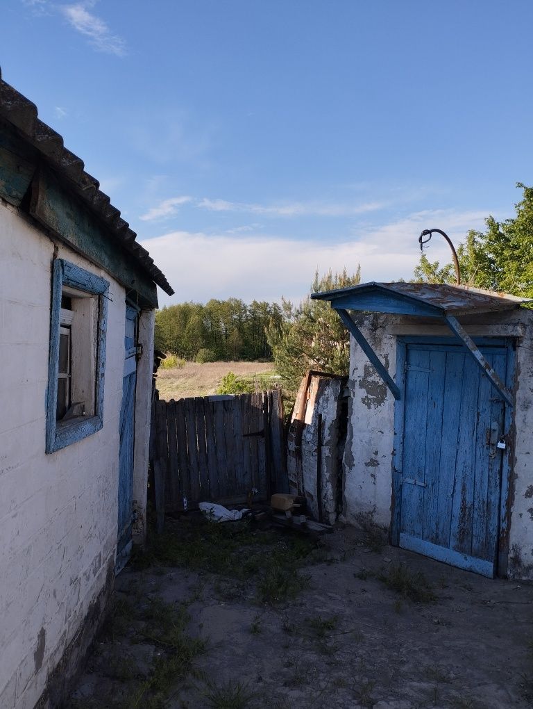 Продам дом Змиев Задонецкое