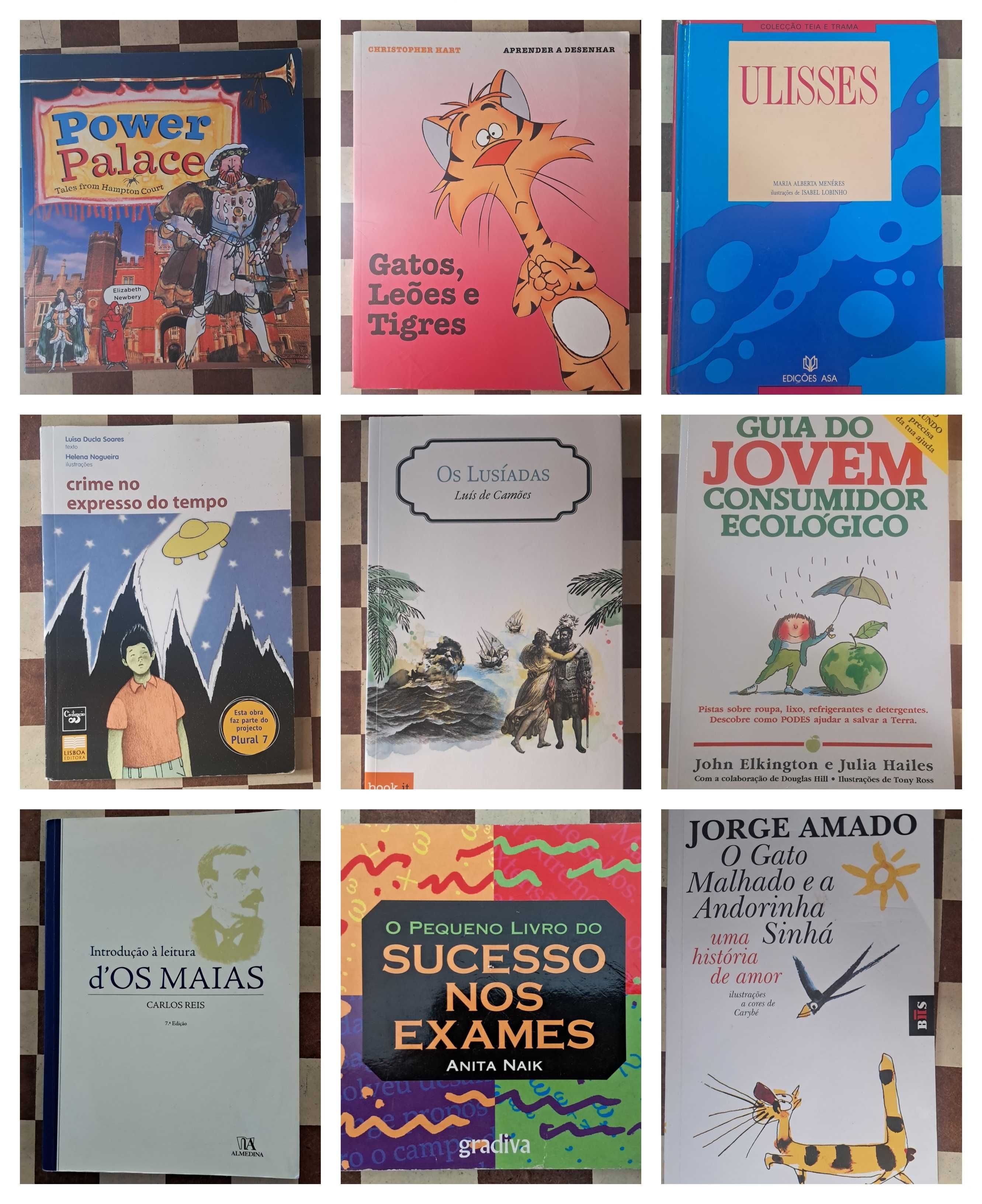 Conjunto lote 49 livros juvenis 20€ todos ou 1€ cada