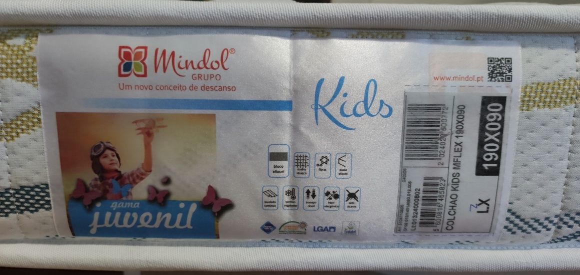 Cama Beliche c/ Armário + 2 gvetas