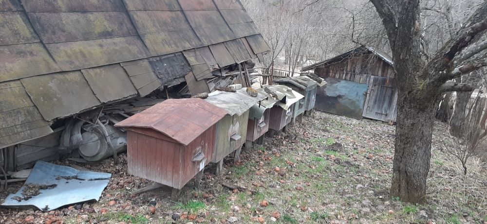 Вулики (пасіка) село Рокитне