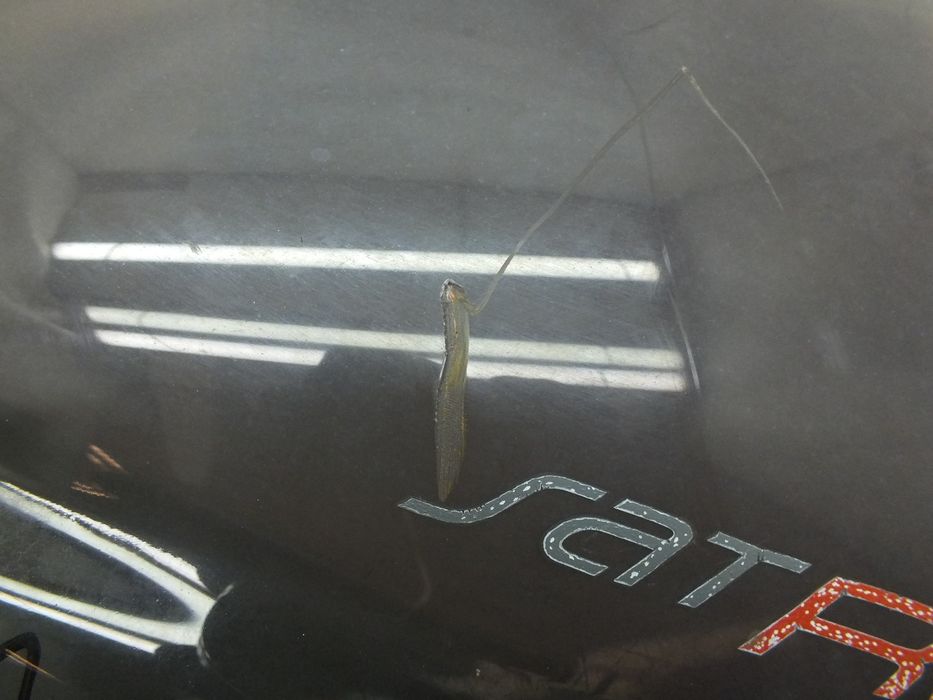 Szyba Owiewka Osłona Przód Peugeot Satelis 125