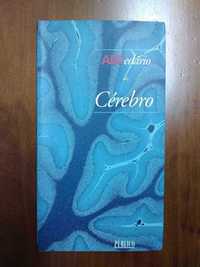 Livro - ABCedário do Cérebro