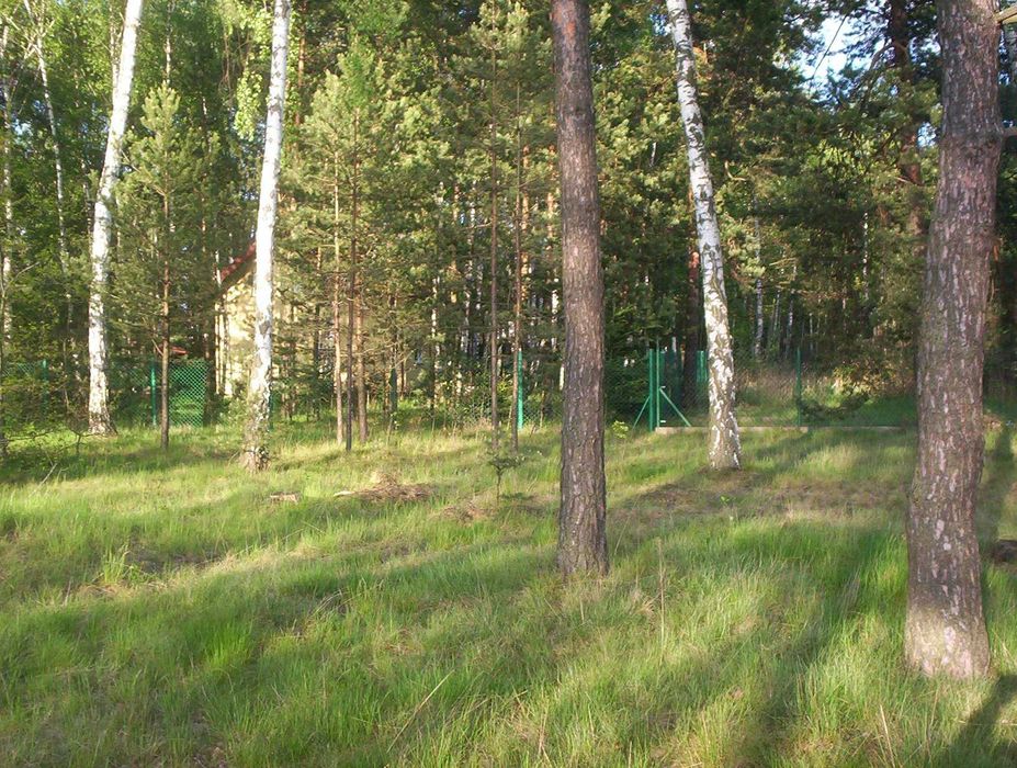 działka budowlana Ostrów, gmina Żarki, 1545 m kw