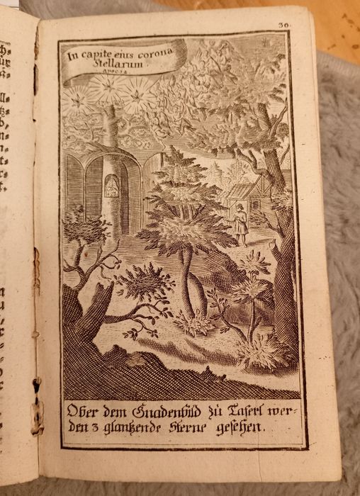 Starodruk 1748 Austriacka Góra Miry - Sanktuarium Maria

Laferl - Mary