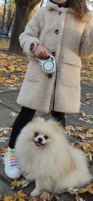 Шукаємо дівчинку