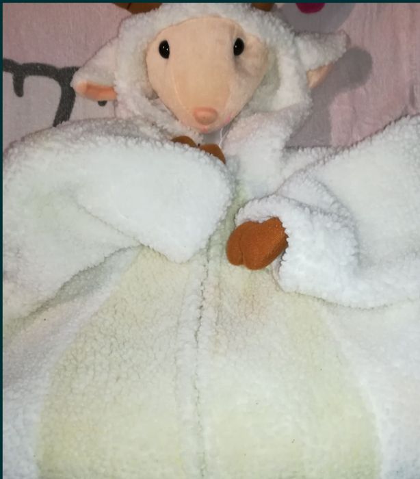 Fato de carnaval ou halloween