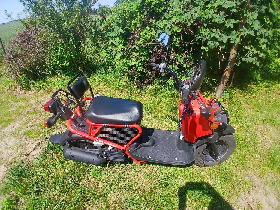 Honda Zoomer NPS50 2006 - polski salon