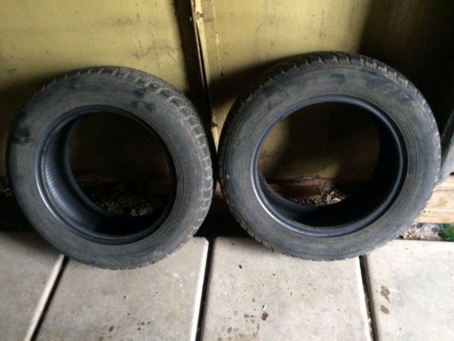 Гума зимова Nokian  Hakapelita 195/65 R15