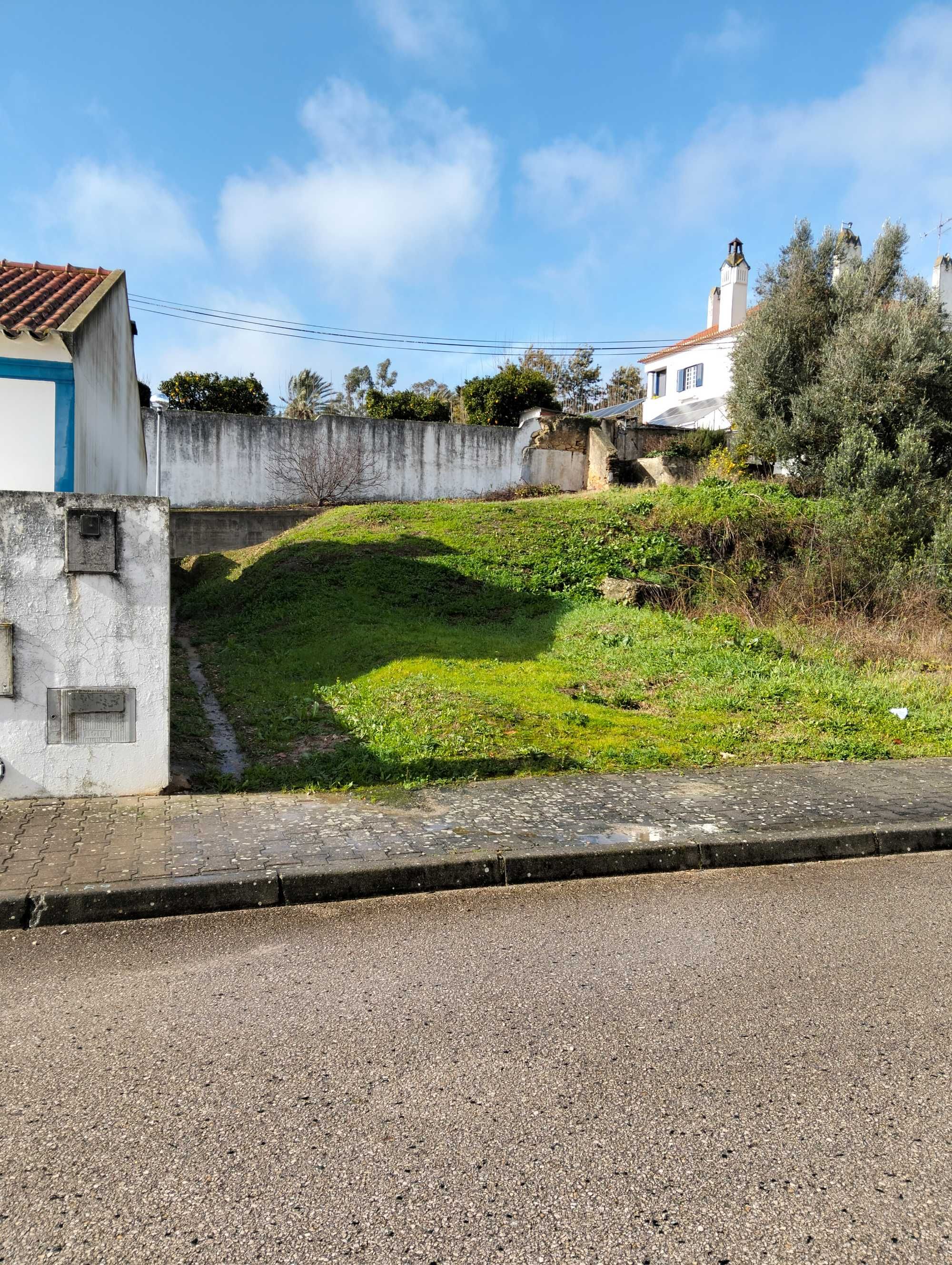Terreno urbano em palma
