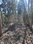 Terreno  para venda