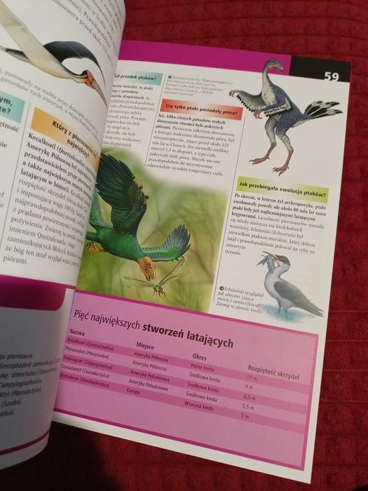 Encyklopedia dla ciekawskich