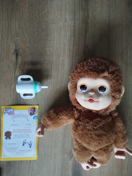 Interaktywna małpka Little live pets z butelką i certyfikatem