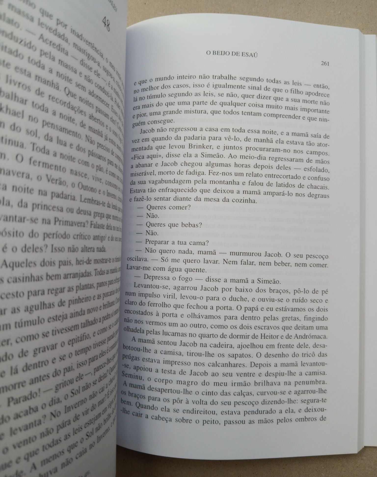 O Beijo de Esaú, Meier Shalev