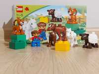 LEGO 5646 Duplo Żłobek dla zwierząt