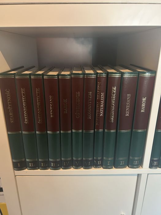 Zestaw książek  o historii literatury
